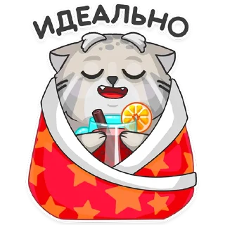 😸