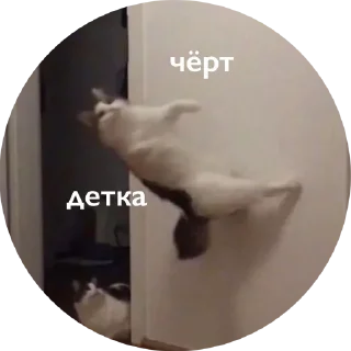 👹