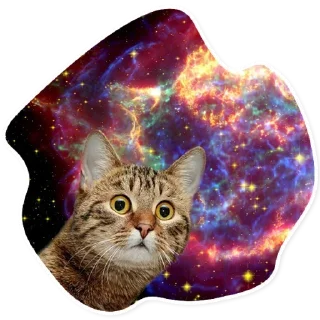 Space Cats @stickersb2b