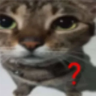 ❓