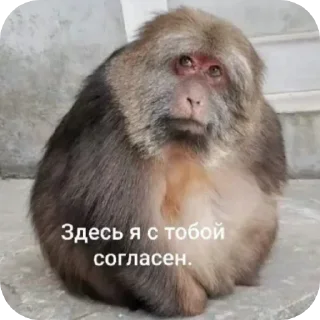 🙂