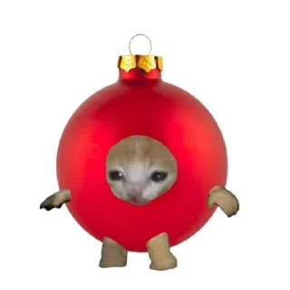 🐱