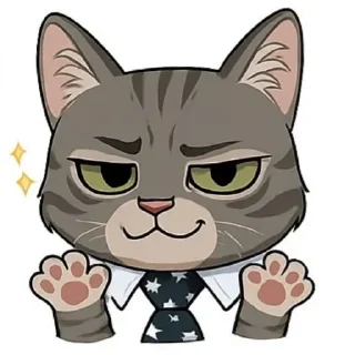 🐱