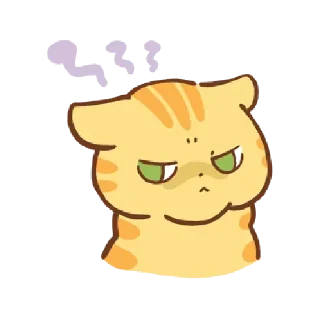 🐱