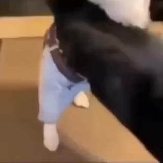 😎