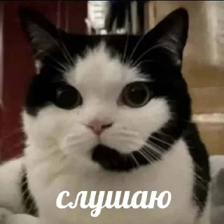 🔊