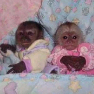 👩‍❤️‍👨