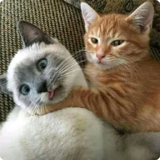 🤗