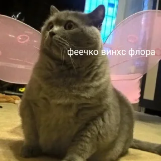 🧚‍♀