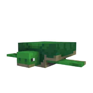 🐢