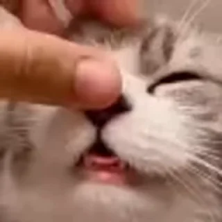 👋