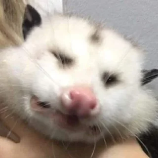 😬