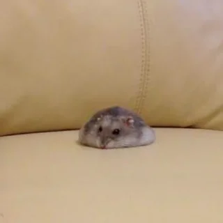 😪