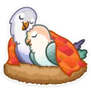 😴