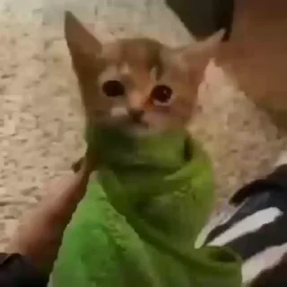 🙄