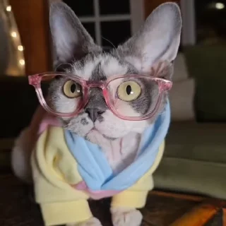 🤓