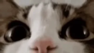 😦