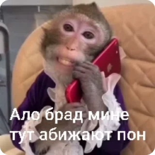 📞