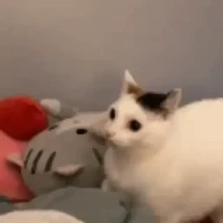 😋
