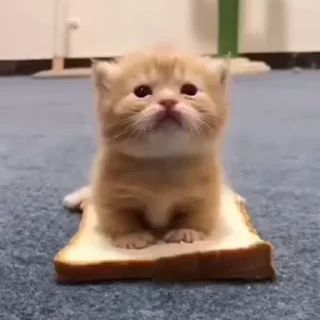 🥺