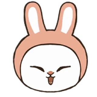 🐰