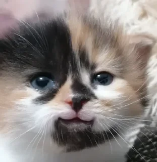 🙂