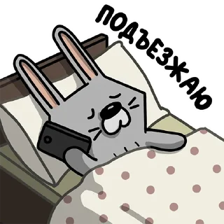 😴