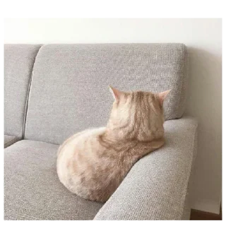 😒