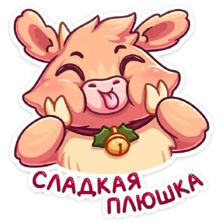 😛