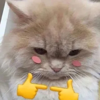 👉