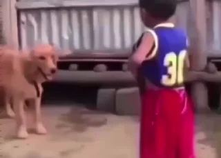 😎