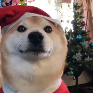 🎅