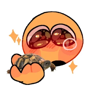 🐢