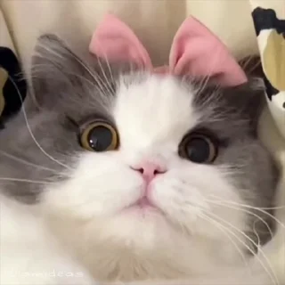 😉