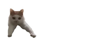 ✌️