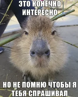 👎