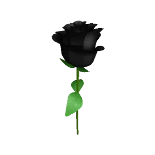 🌹