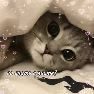 🥺