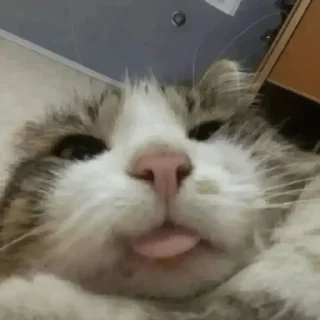 🥴