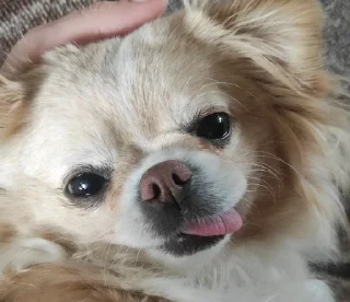 🤪