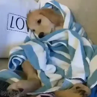😔