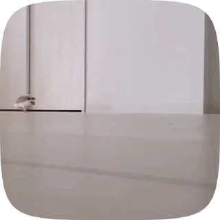 🏃