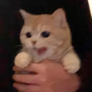 😆