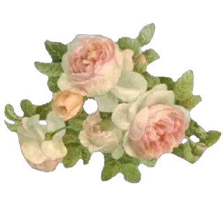 🌸