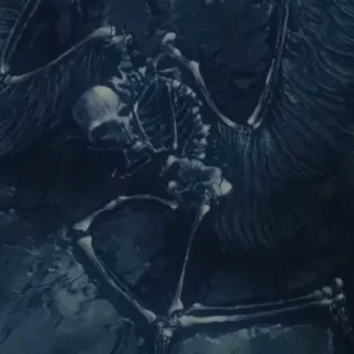 😇