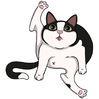 🐱