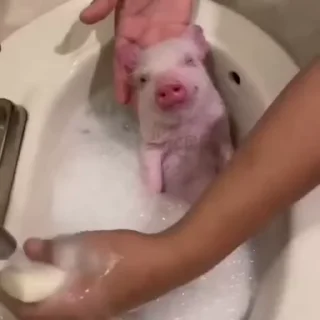 🛁