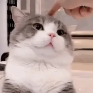 👇