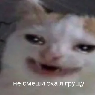 😞