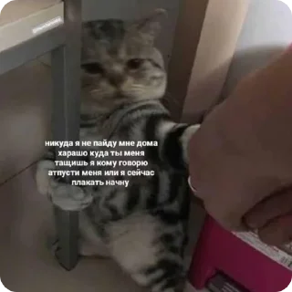 🏠